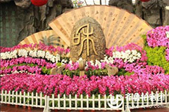 第四届中国泰山国际兰花节在泰安开幕