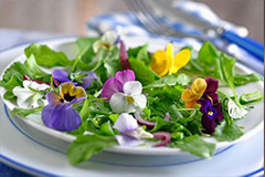 食用花卉色、香、味俱全 吃出营养和健康